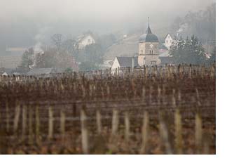 2018 Burgundy primeurs trip