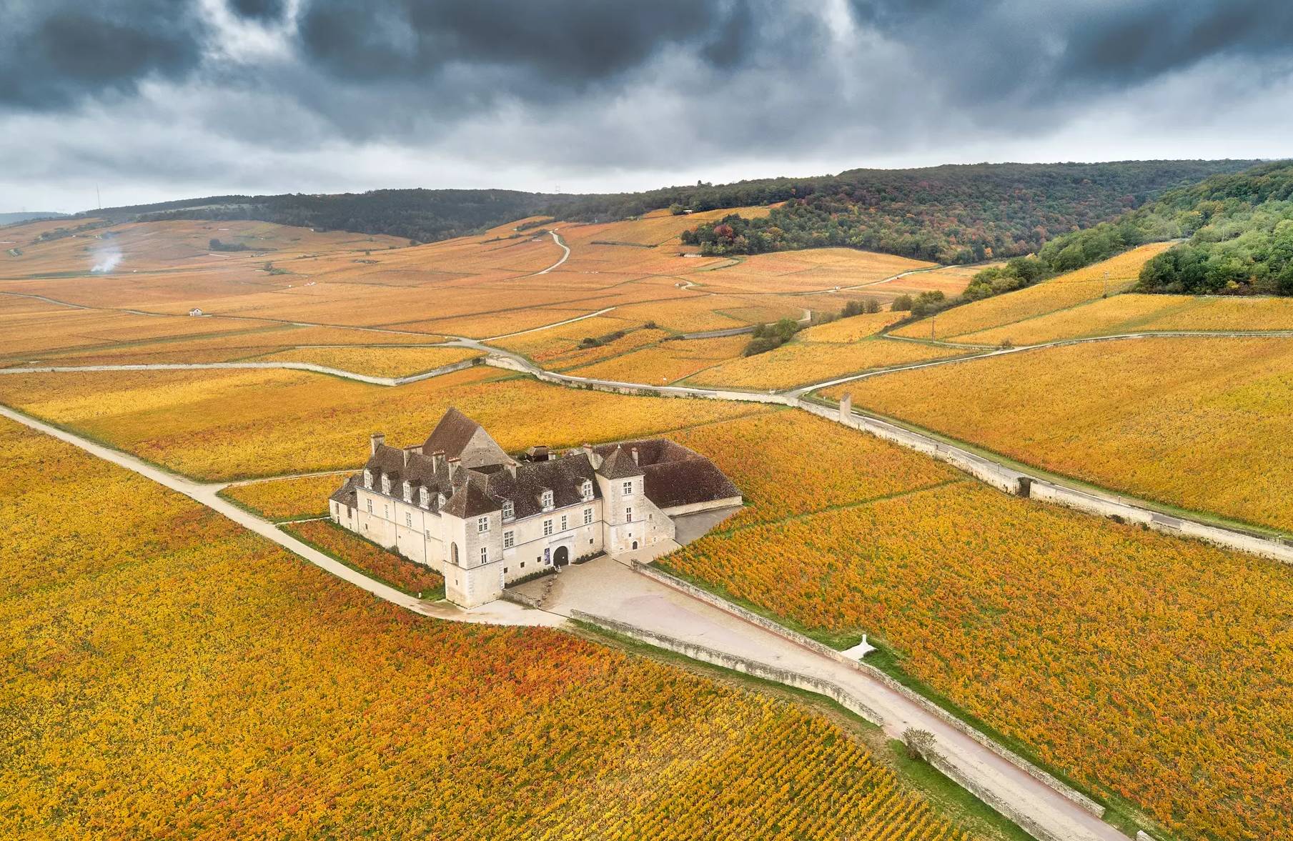 Clos de Vougeot