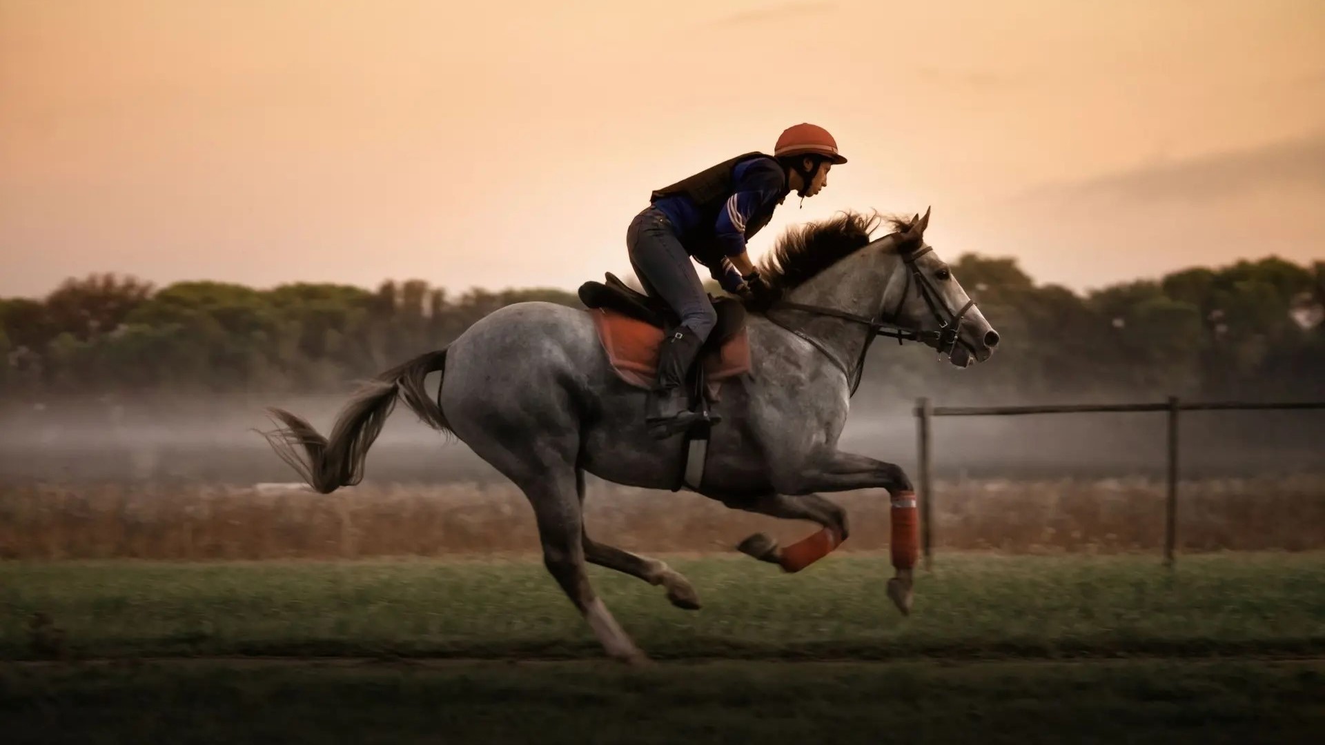 Tenuta San Guido racehorse