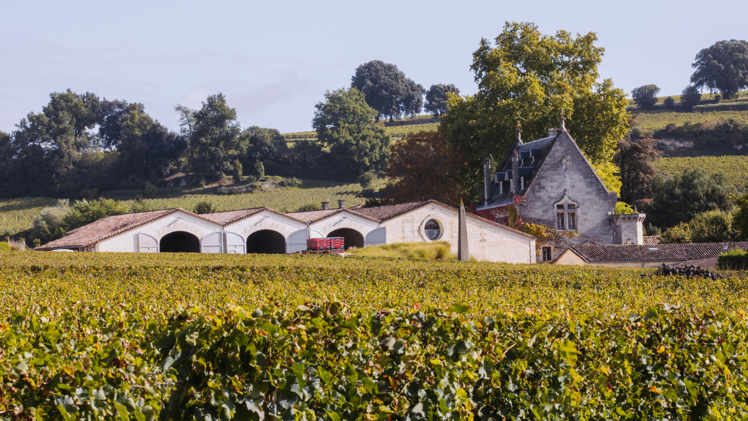 Clos la Gaffeliere