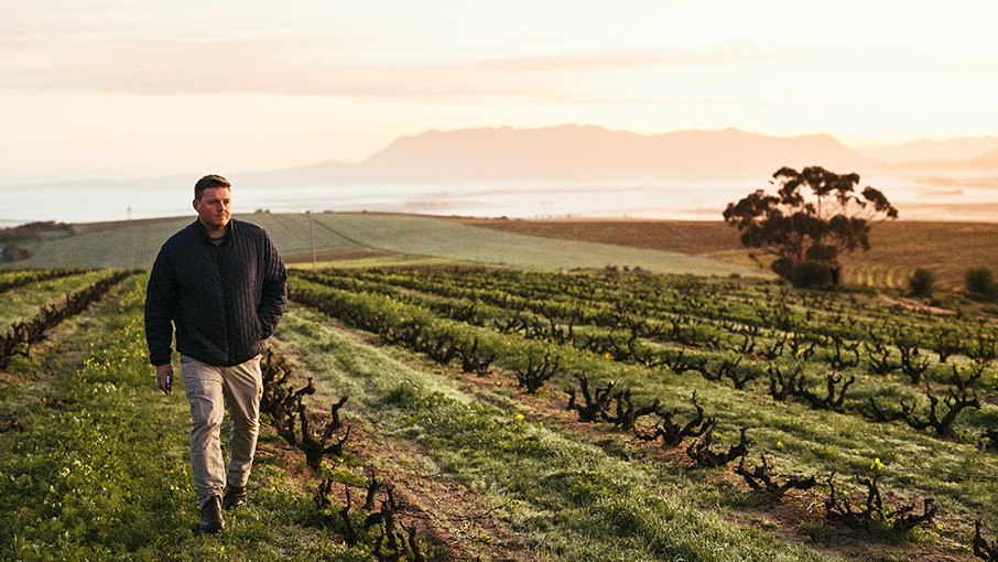 Chris Aheit in the Nuwedam vineyard, Paardeberg