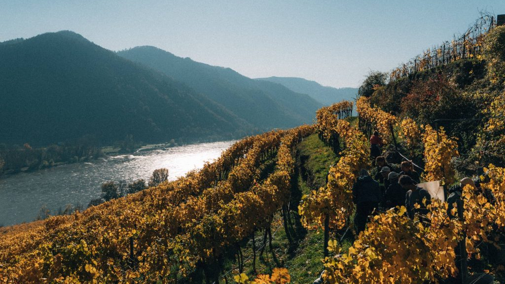 Weingut Prager Weingut Prager