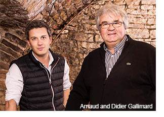 Arnaud and Didier Gallimard