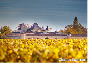 Chateau Suduiraut