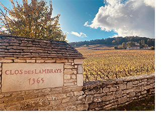 Clos des Lambrays