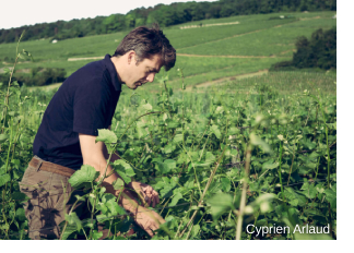 Cyprien Arlaud