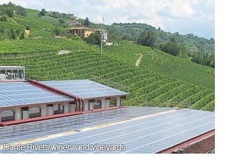 Dante Rivetti winery and vineyards