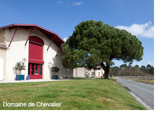 Domaine de Chevalier
