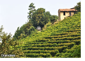 Gramolere in Monforte