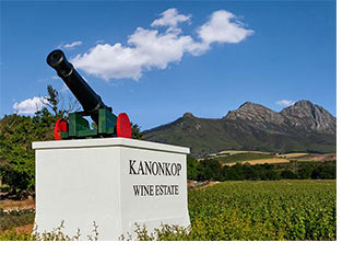 Kanonkop wine estate