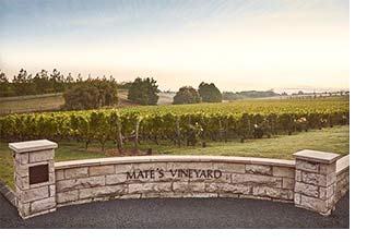 Kumeu Mate's Vineyard