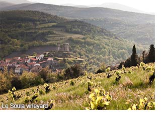 Le Soula vineyard