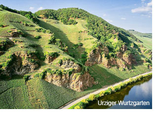 Urziger Wurzgarten Vineyard