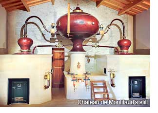 Chateau de Montifaud still