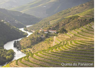 Quinta do Panascal