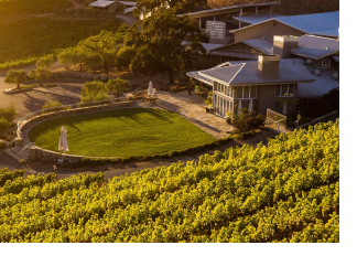 Shafer Vineyards
