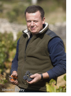 Vincent Morey of Domaine Vincent et Sophie Morey