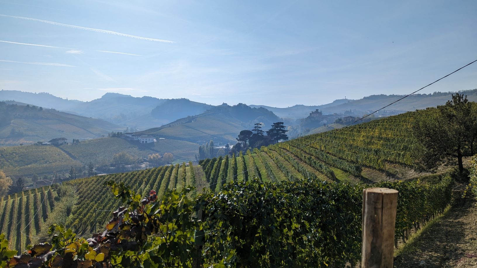 Cannubi vineyard, Barolo