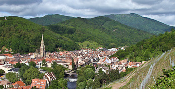 The village of Rangen seen from the vineyards of Zind Humbrecht