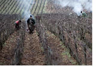 2015 Burgundy en primeur