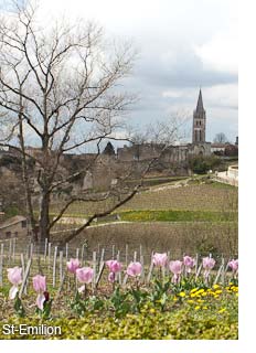 St Emilion seen from Pavie Macquin