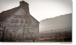 2012 Burgundy: Gevrey-Chambertin