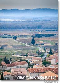 View from Chateauneuf-du-pape