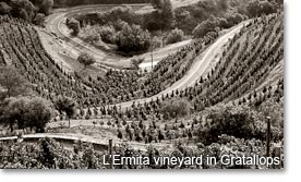 L'Ermite vineyard in Gratallops