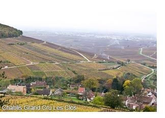 Chablis Grand Cru Les Clos