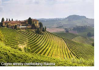 Elvio Cogno winery overlooking Ravera