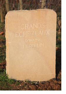 Joseph Drouhin Grands Echezeaux