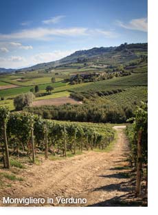 The Monvigilero vineyard in Verduno, Barolo