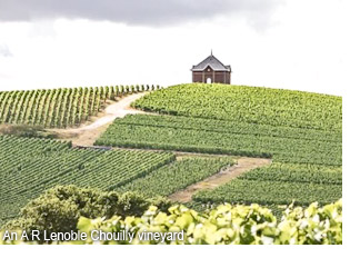 An A R Lenoble Chouilly vineyard