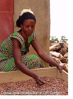 Cocoa bean production in DR Congo