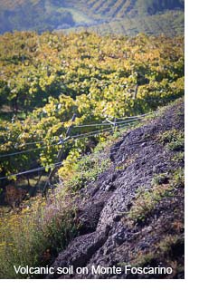 Volcanic soil on Monte Foscarino