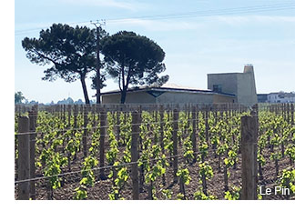 2021 Bordeaux en primeur 2