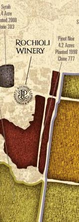 Rochioli 6-bottle Tasting Case