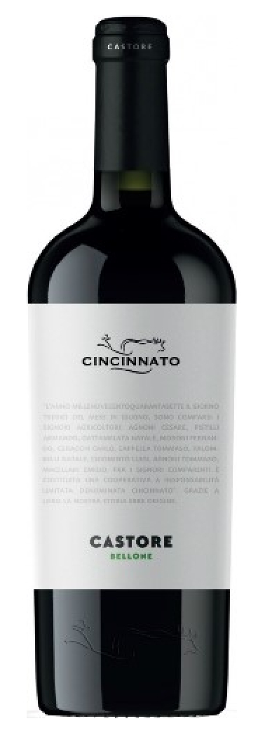 Cincinnato Bellone Castore (Lazio)