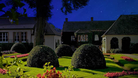 Champagne/sparkling wine