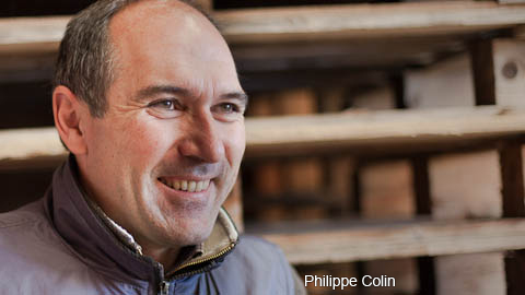 Burgundy/Beaujolais/Jura