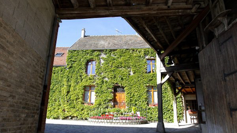 Champagne/sparkling wine