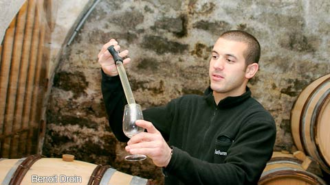 Burgundy/Beaujolais/Jura