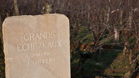 Burgundy/Beaujolais/Jura