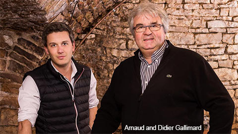 Champagne/sparkling wine