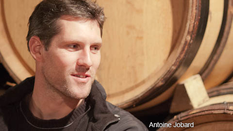 Burgundy/Beaujolais/Jura