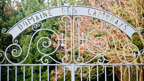 Burgundy/Beaujolais/Jura