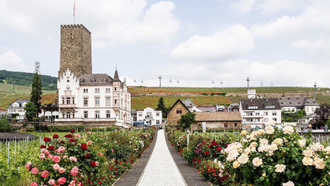 Weingut Joseph Leitz