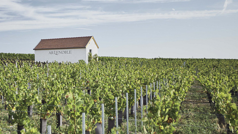 Champagne/sparkling wine