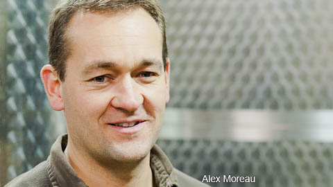 Burgundy/Beaujolais/Jura