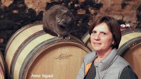 Burgundy/Beaujolais/Jura